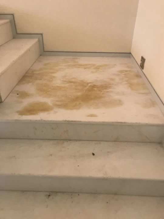 碧桂园生态城石材泛黄反碱治理工程